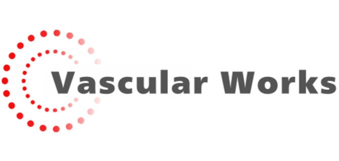 株式会社Vascular Works