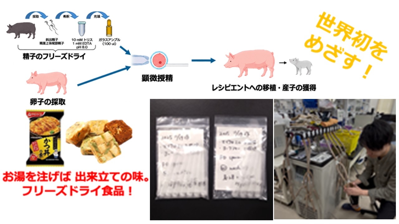 0a49c42af9234b9a9cf3a54126f6ed24_1.jpg