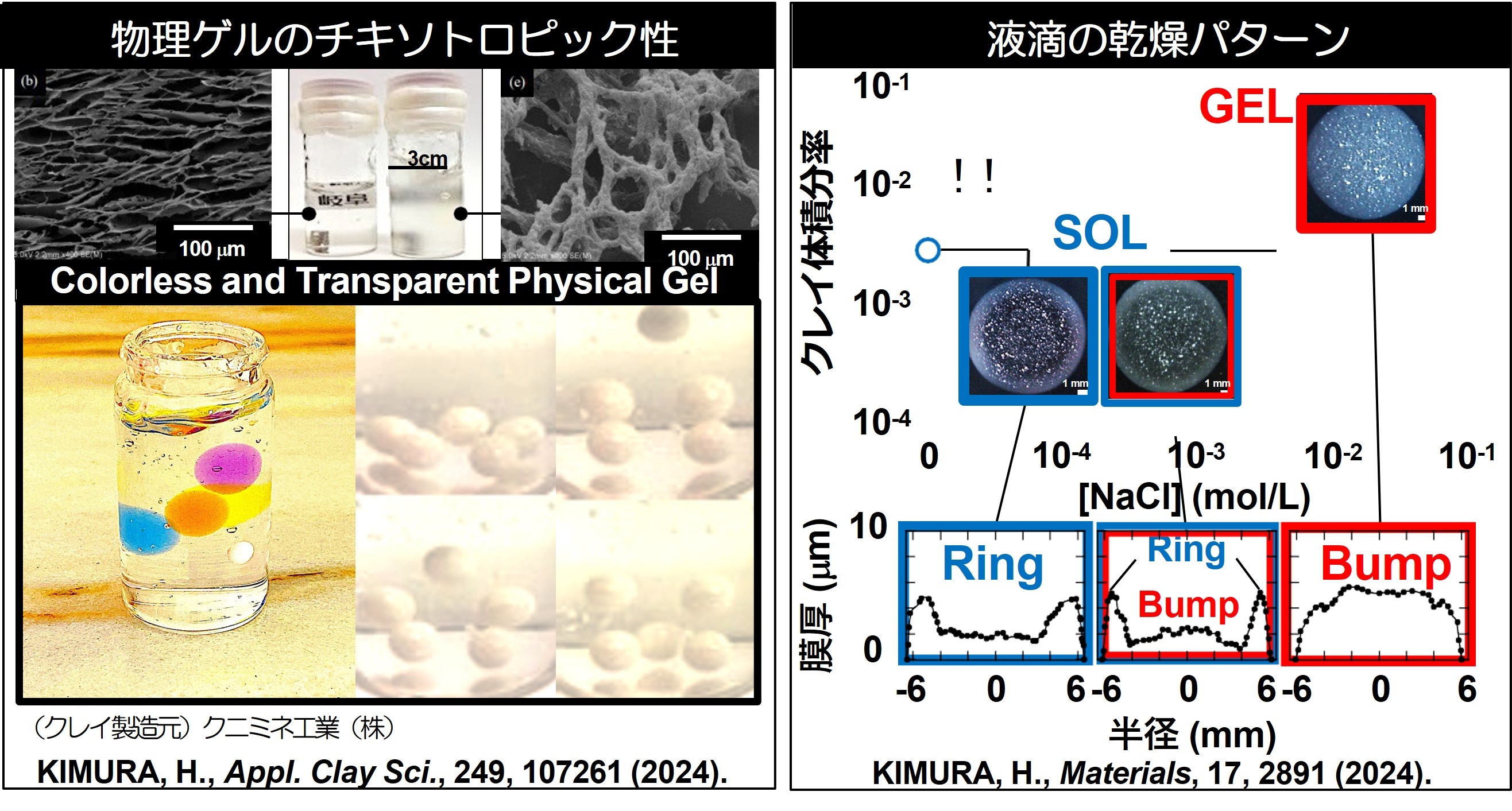 kimura_gel1.jpg