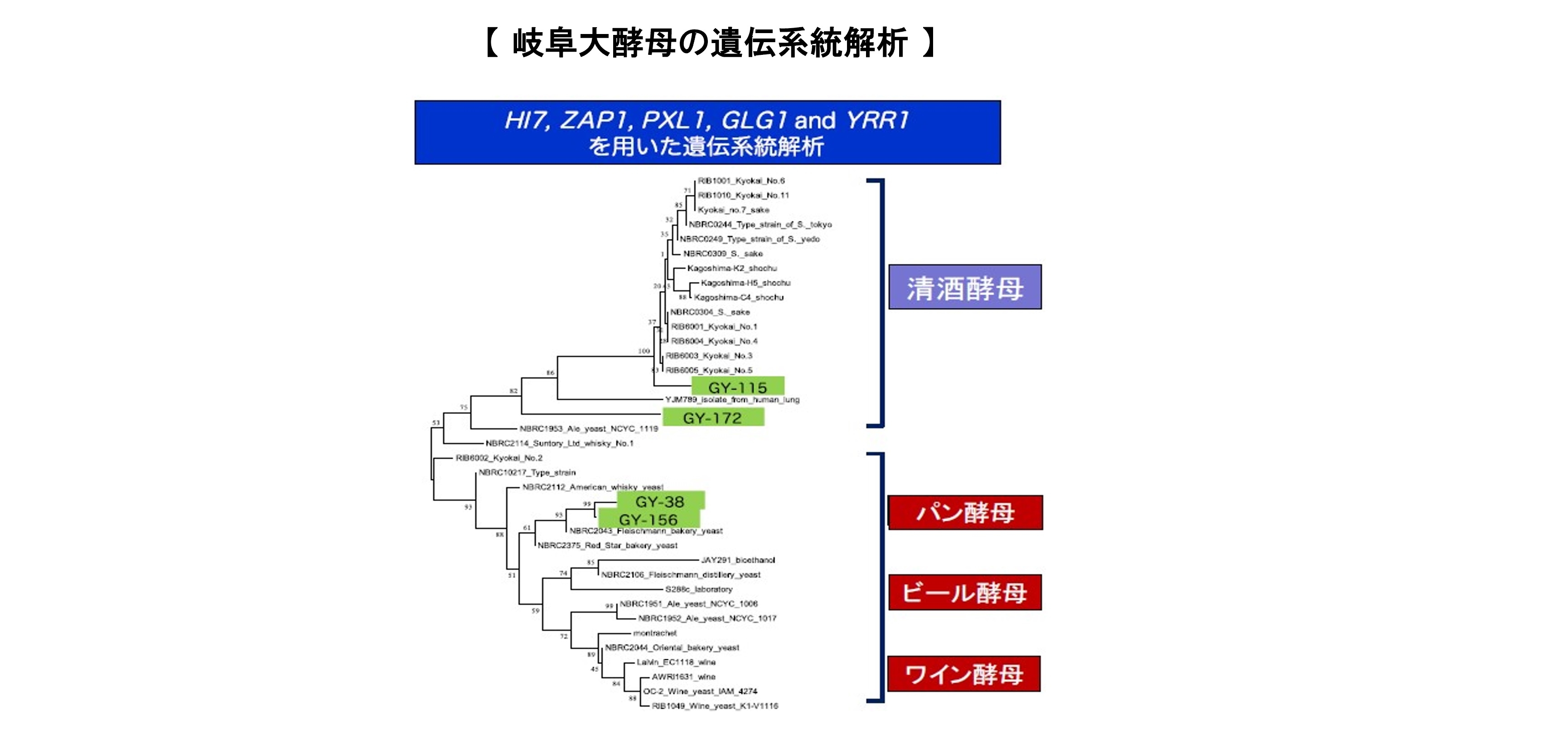 nakagawa_kobo1_2.jpg